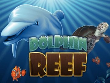 Dolphin Reef